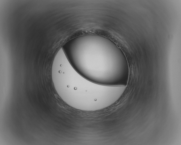 X0000111851060200907231055