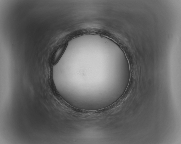 X0000111851061200907231055