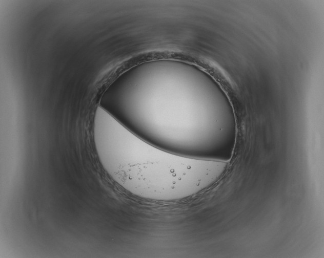 X0000111851064200907231055