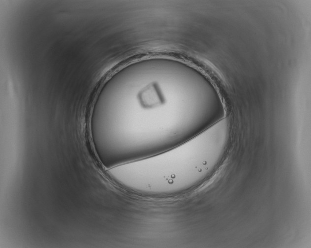 X0000111851065200907231055