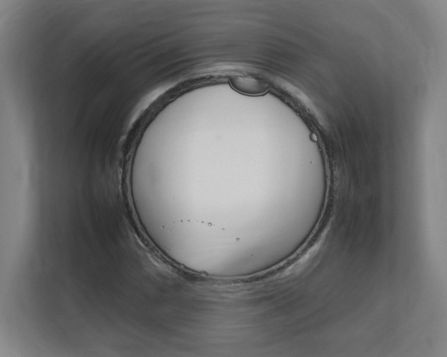 X0000111851066200907231055