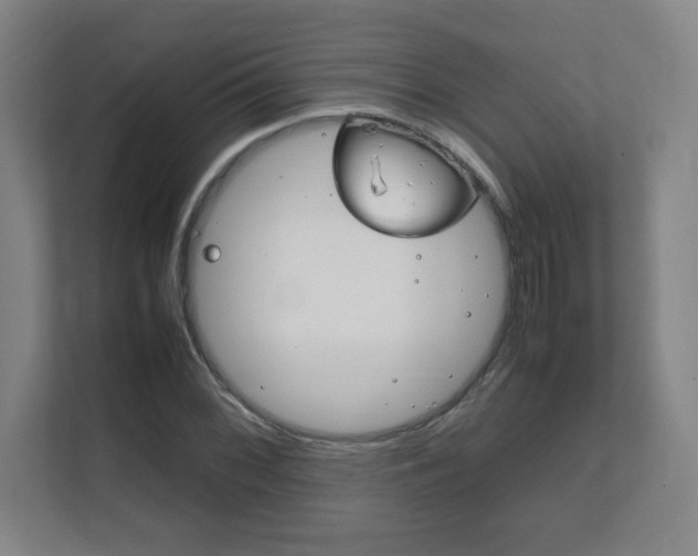 X0000111851068200907231055