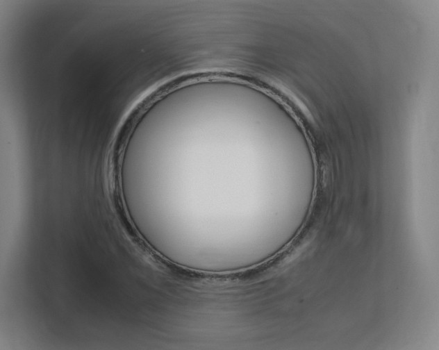 X0000111851069200907231055