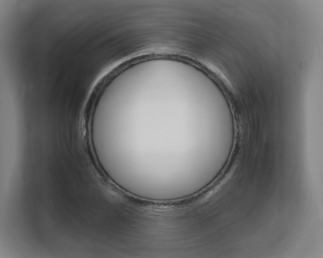X0000111851070200907231055
