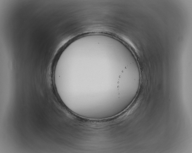 X0000111851071200907231055