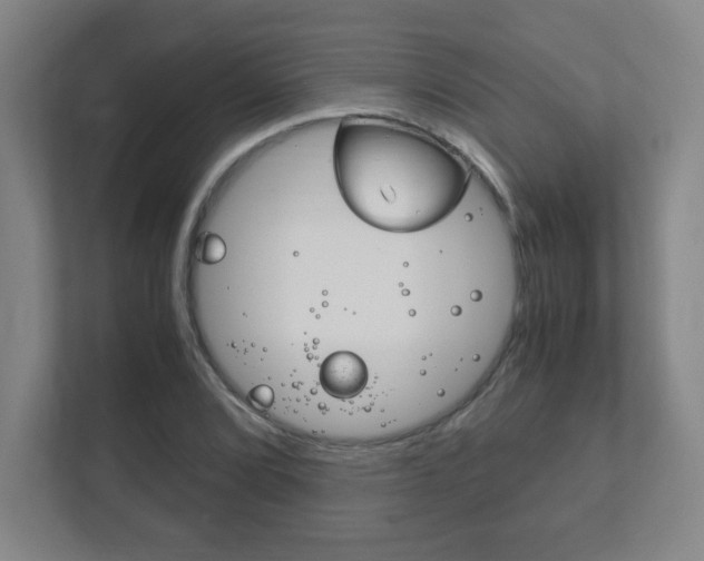 X0000111851072200907231055