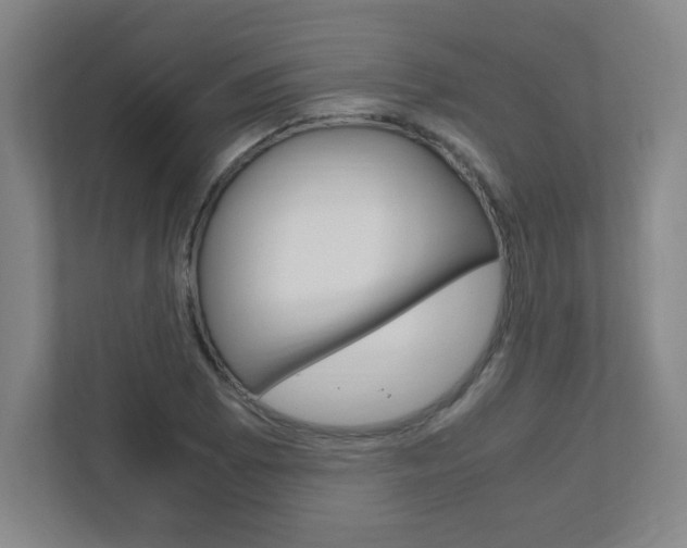 X0000111851073200907231055