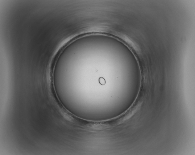 X0000111851077200907231055