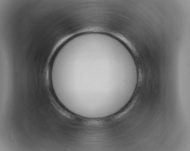 X0000111851078200907231055