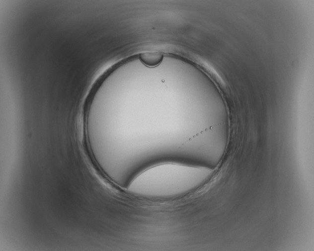 X0000111851079200907231055
