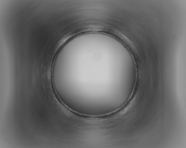 X0000111851081200907231054