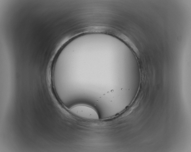 X0000111851083200907231054