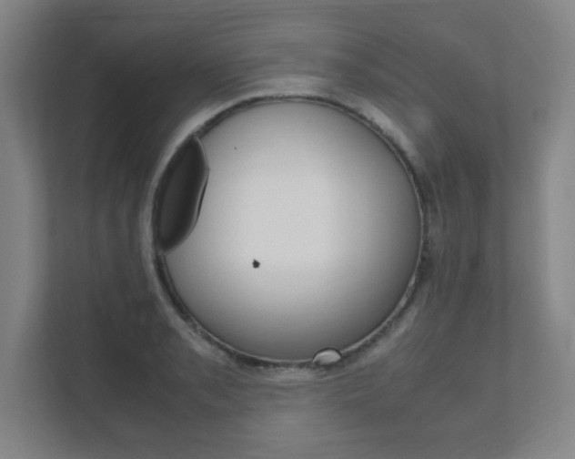 X0000111851085200907231054