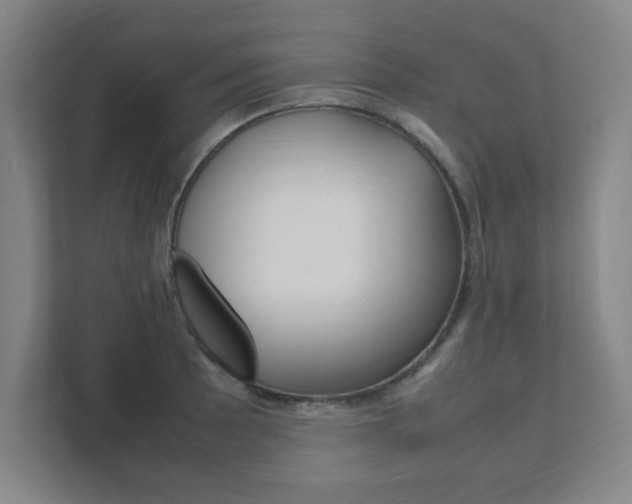 X0000111851089200907231054