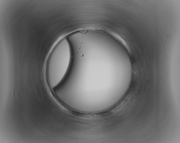 X0000111851091200907231054