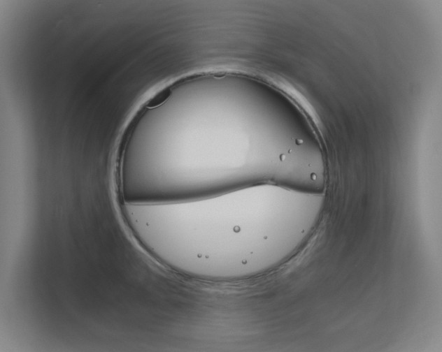 X0000111851093200907231054