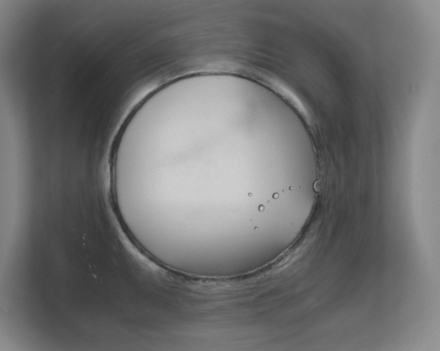 X0000111851095200907231054