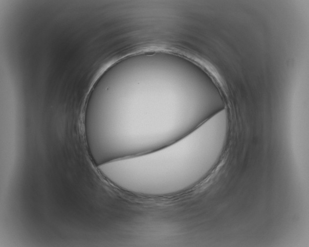 X0000111851097200907231054