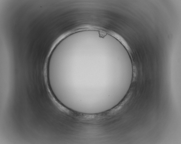 X0000111851098200907231054