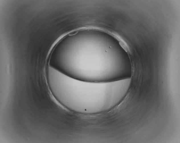 X0000111851100200907231054