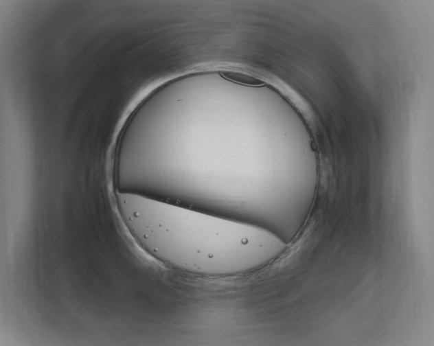 X0000111851102200907231054