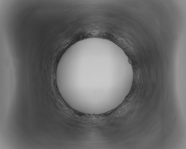 X0000111851105200907231054