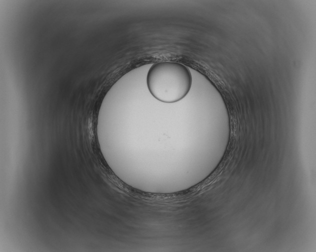 X0000111851106200907231054