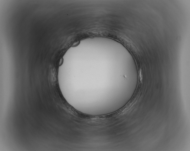 X0000111851107200907231054