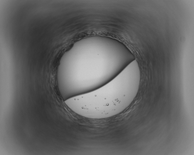 X0000111851109200907231054