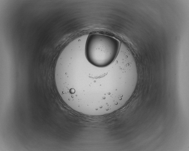 X0000111851110200907231054