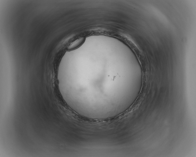 X0000111851111200907231054
