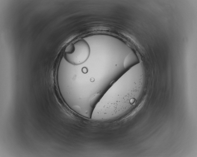 X0000111851113200907231054