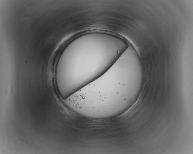 X0000111851115200907231054