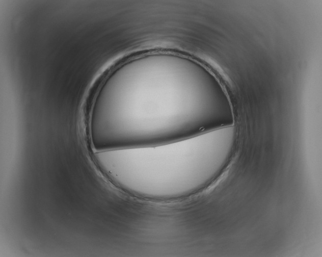 X0000111851118200907231054