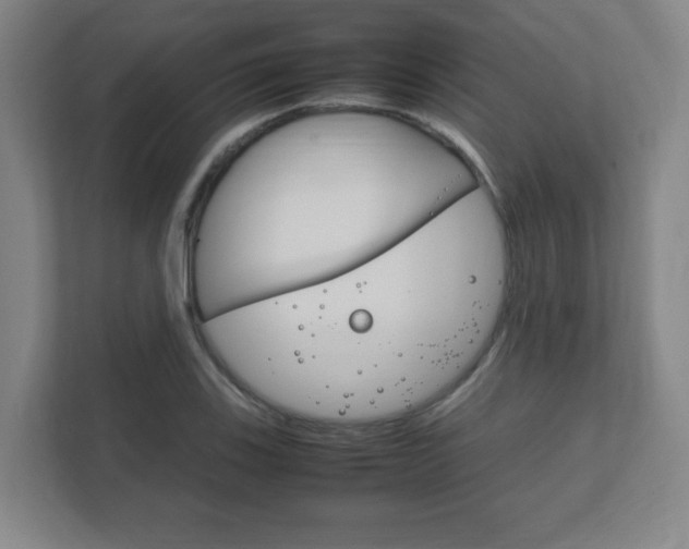 X0000111851123200907231054