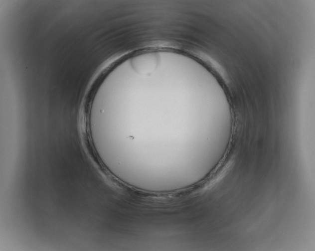 X0000111851125200907231054