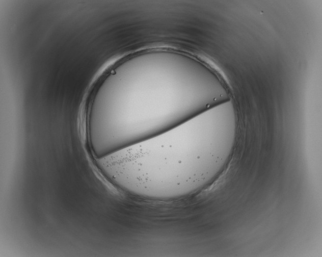 X0000111851127200907231054