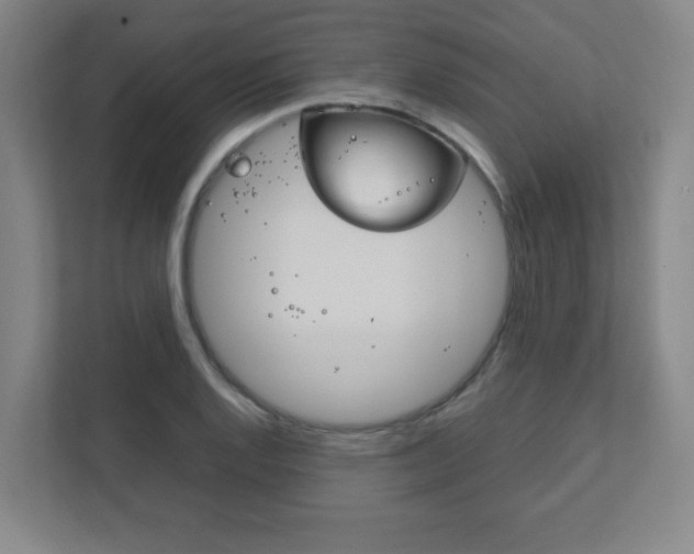 X0000111851128200907231054