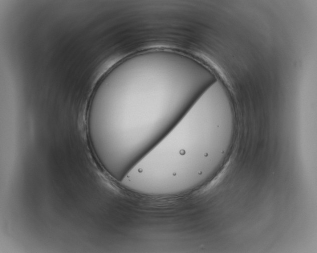 X0000111851129200907231054