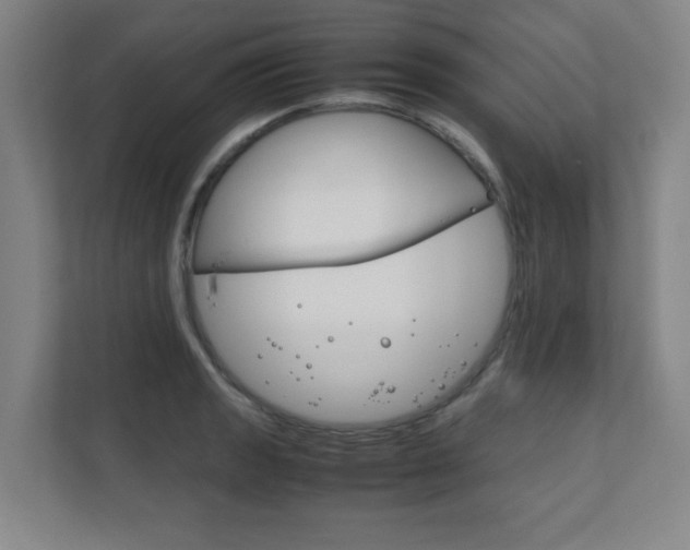 X0000111851133200907231054