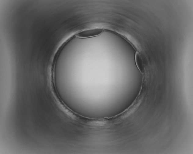 X0000111851134200907231054