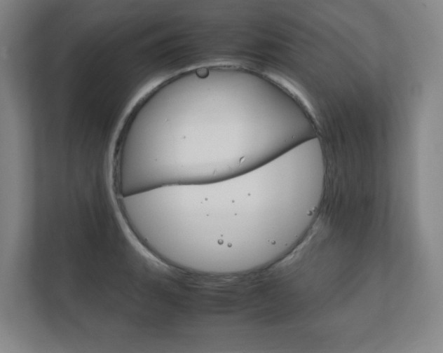 X0000111851135200907231054