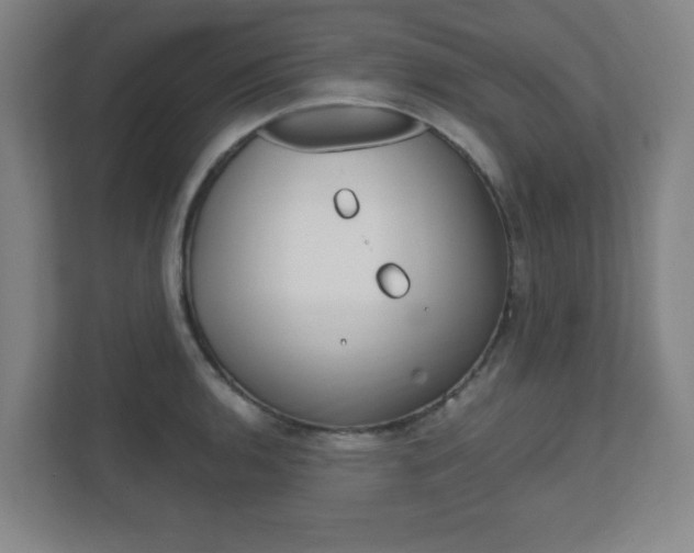 X0000111851136200907231054