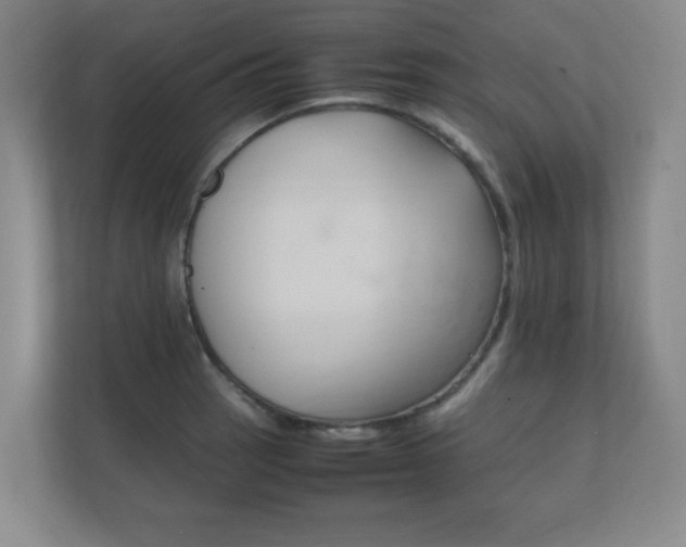 X0000111851137200907231054