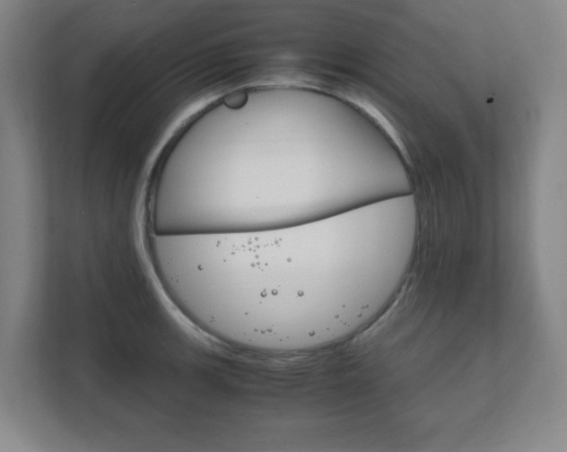 X0000111851139200907231054