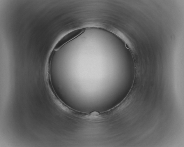 X0000111851140200907231054
