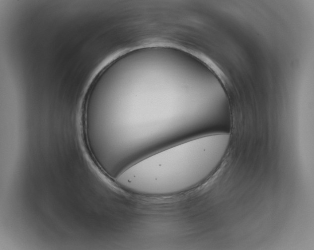 X0000111851142200907231054