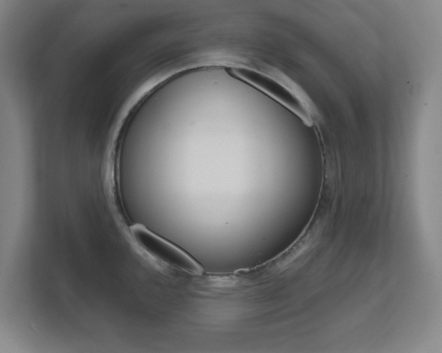 X0000111851144200907231054