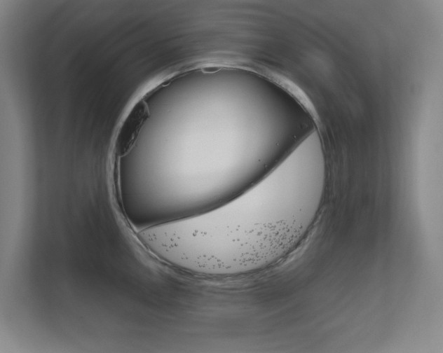 X0000111851146200907231054