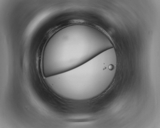 X0000111851151200907231054
